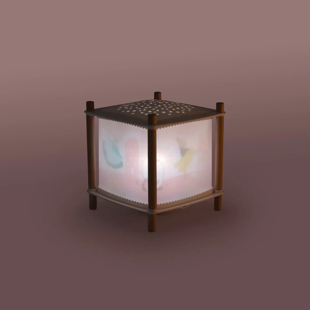 Lanterna magica musicale revolution 2.0 USB - lampada da comodino - Scuola di ballo