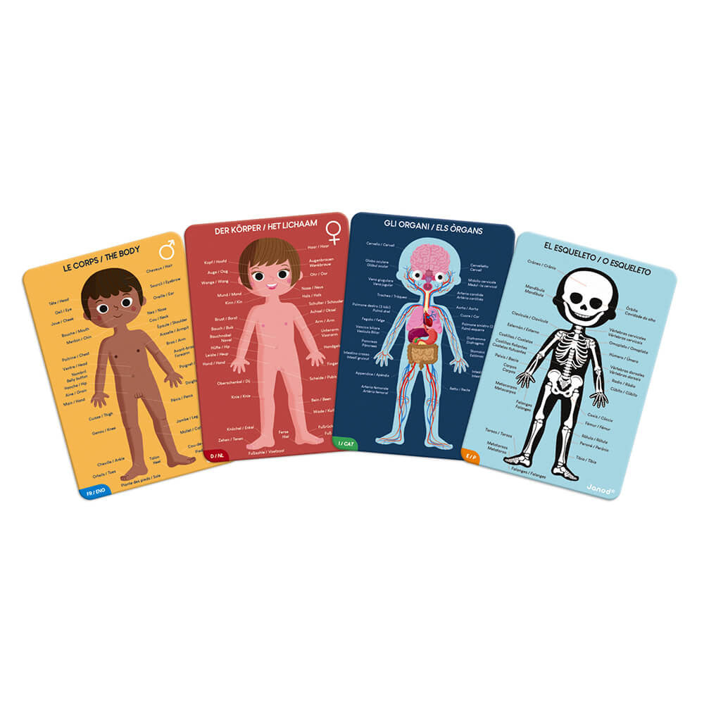 Puzzle Educativo Corpo Umano
