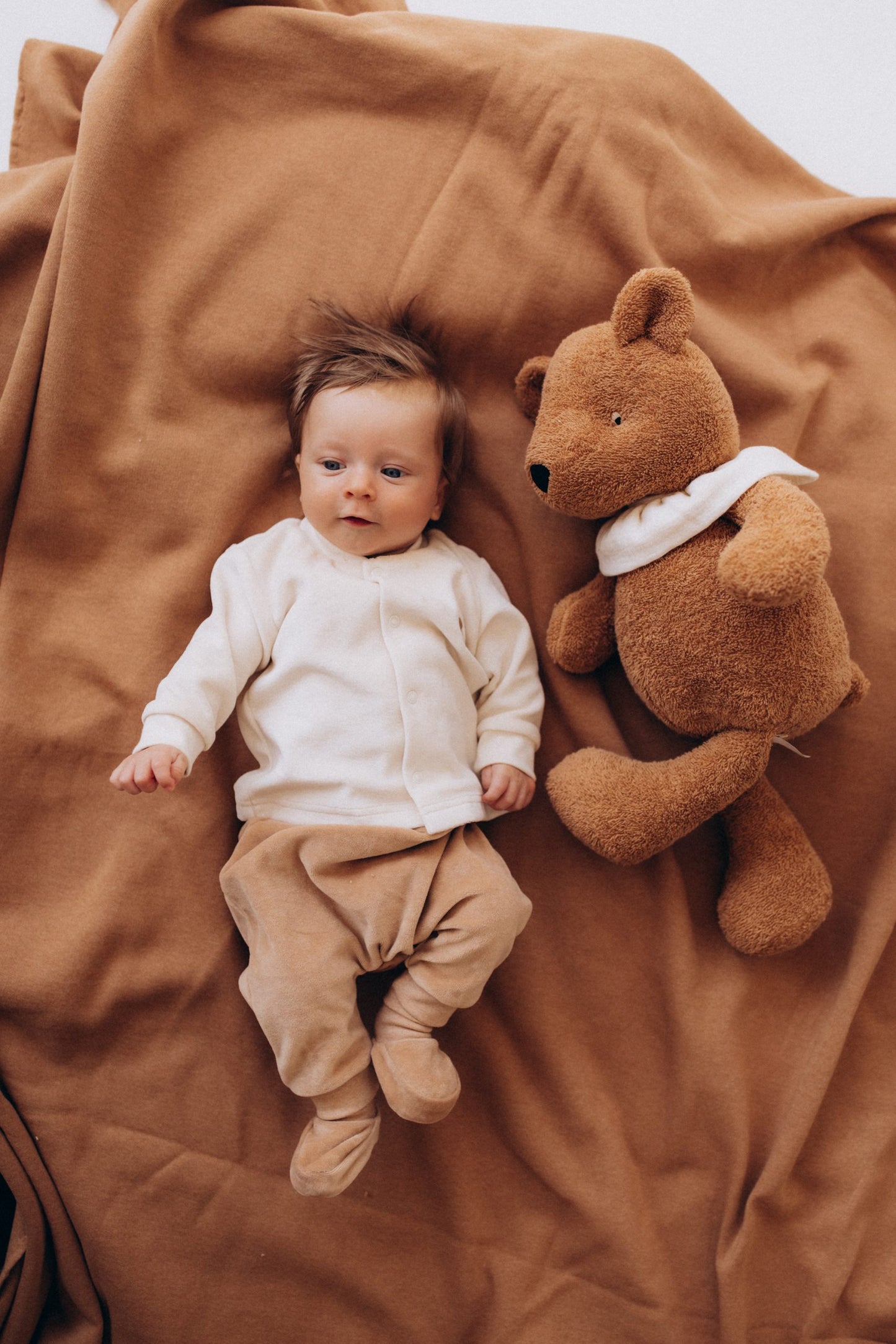 Peluche orsetto con colletto – TEDDY