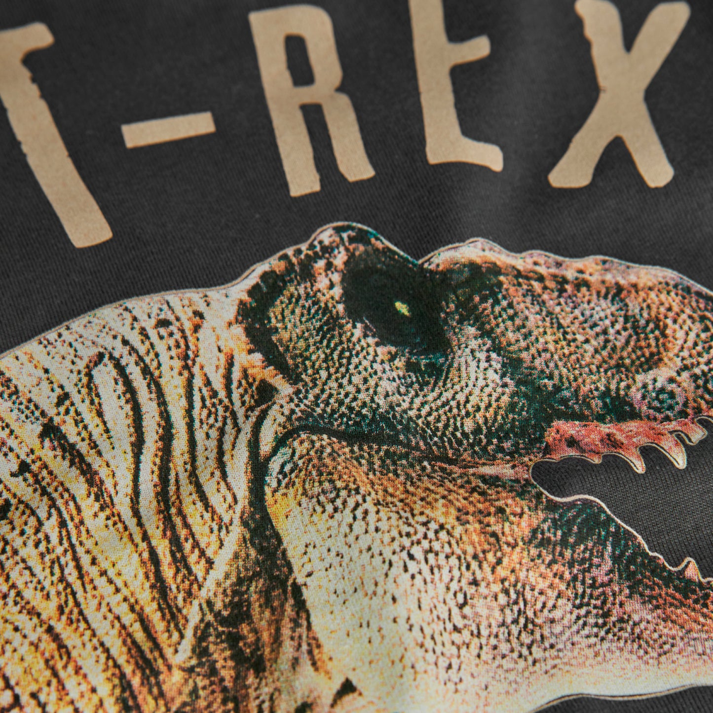 Maglietta jersey dinosauro per bimbo - BCI