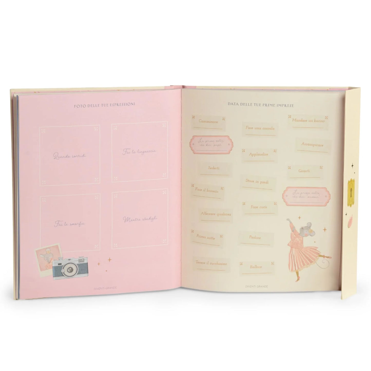 Libro nascita la piccola scuola di danza