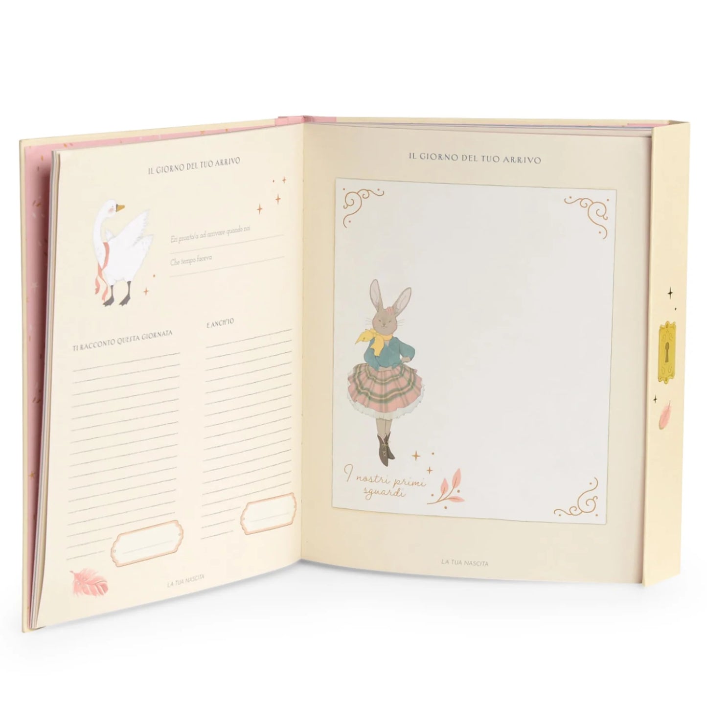 Libro nascita la piccola scuola di danza