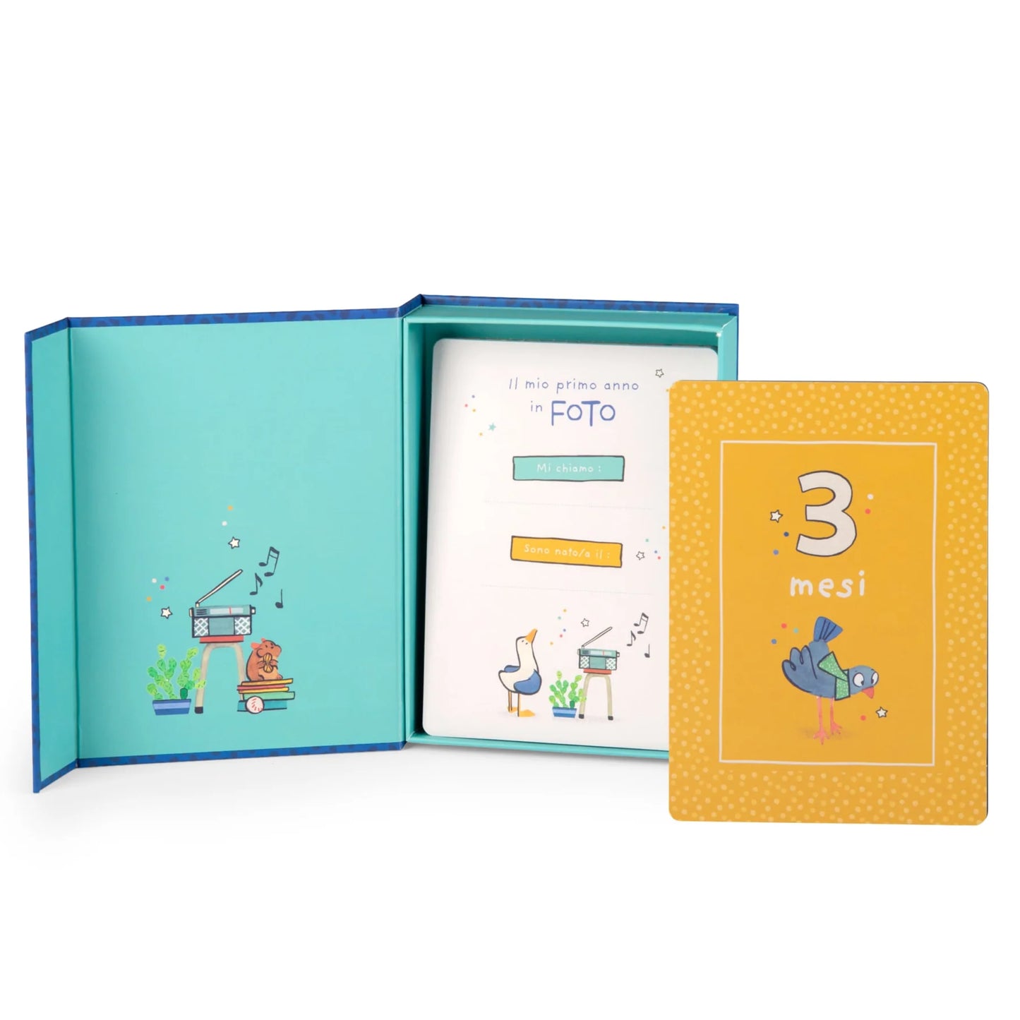 30 carte nascita i miei primi 12 mesi Puce & Pilou (italiano)