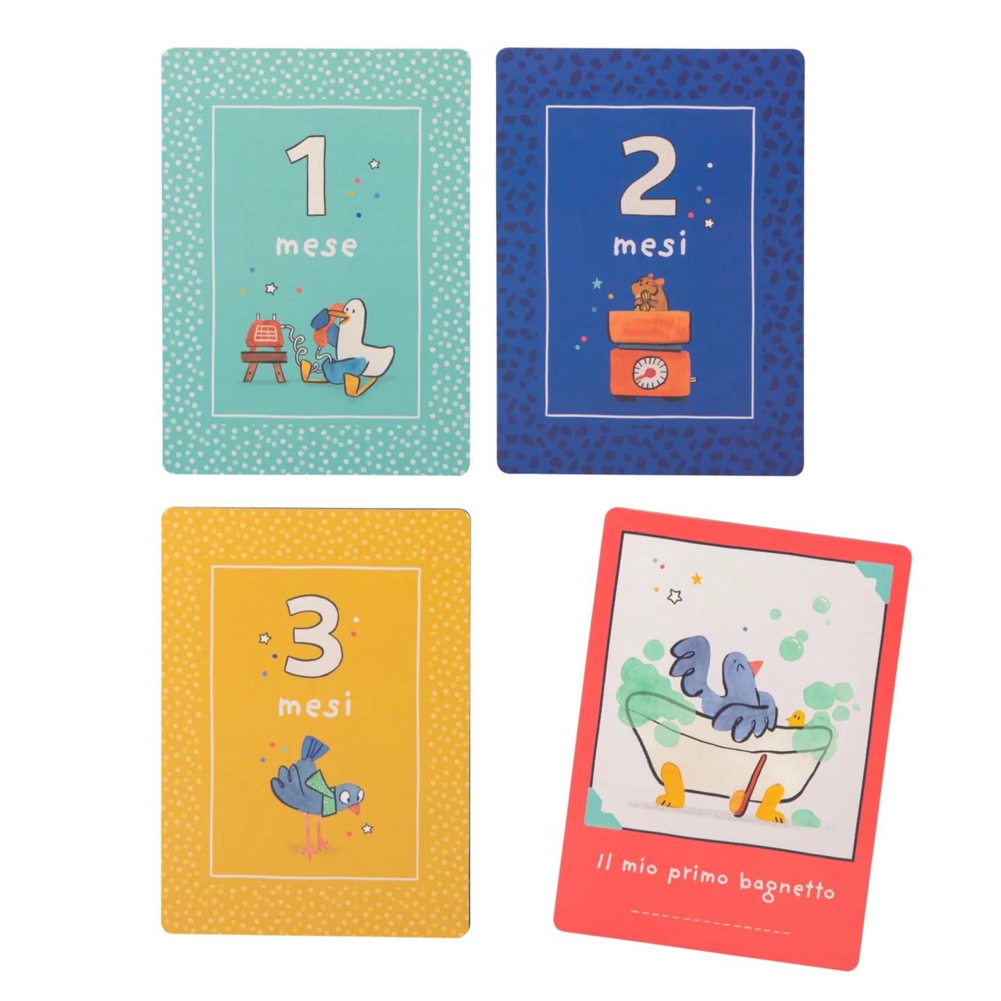 30 carte nascita i miei primi 12 mesi Puce & Pilou (italiano)