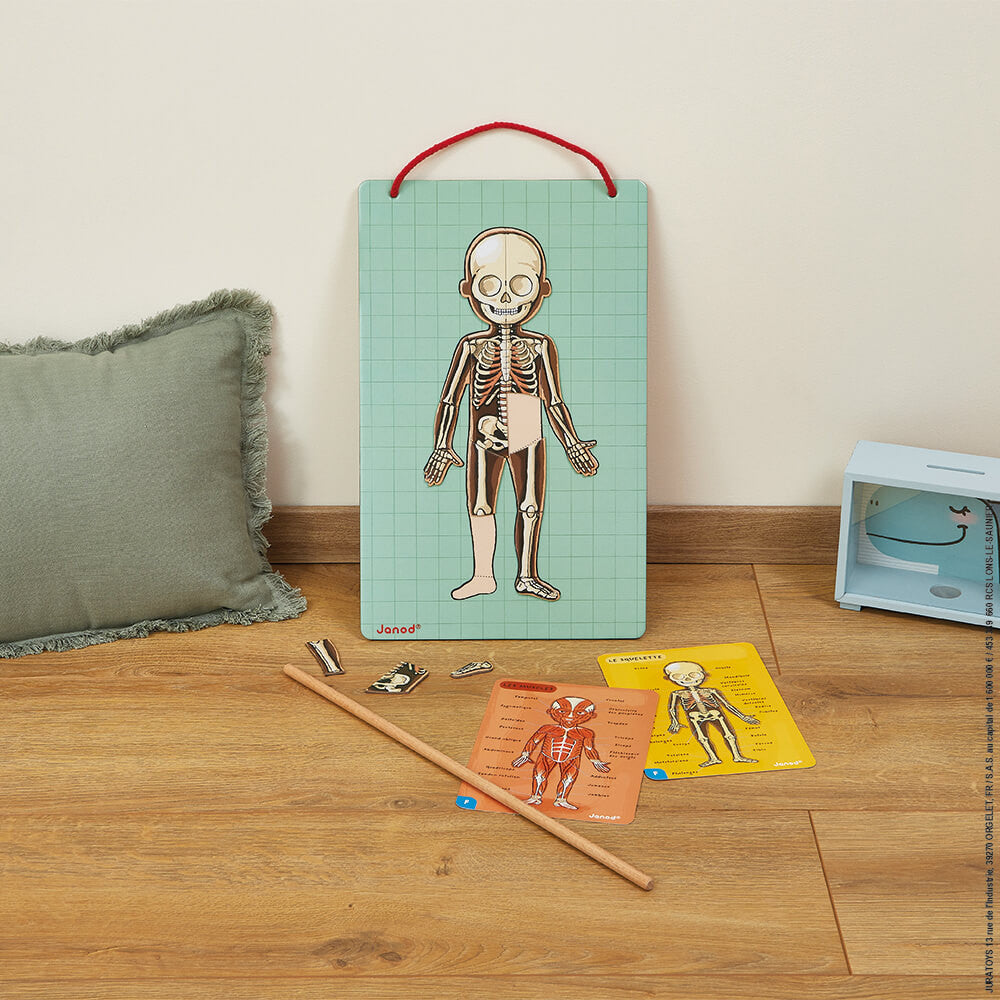 Corpo umano magnetico