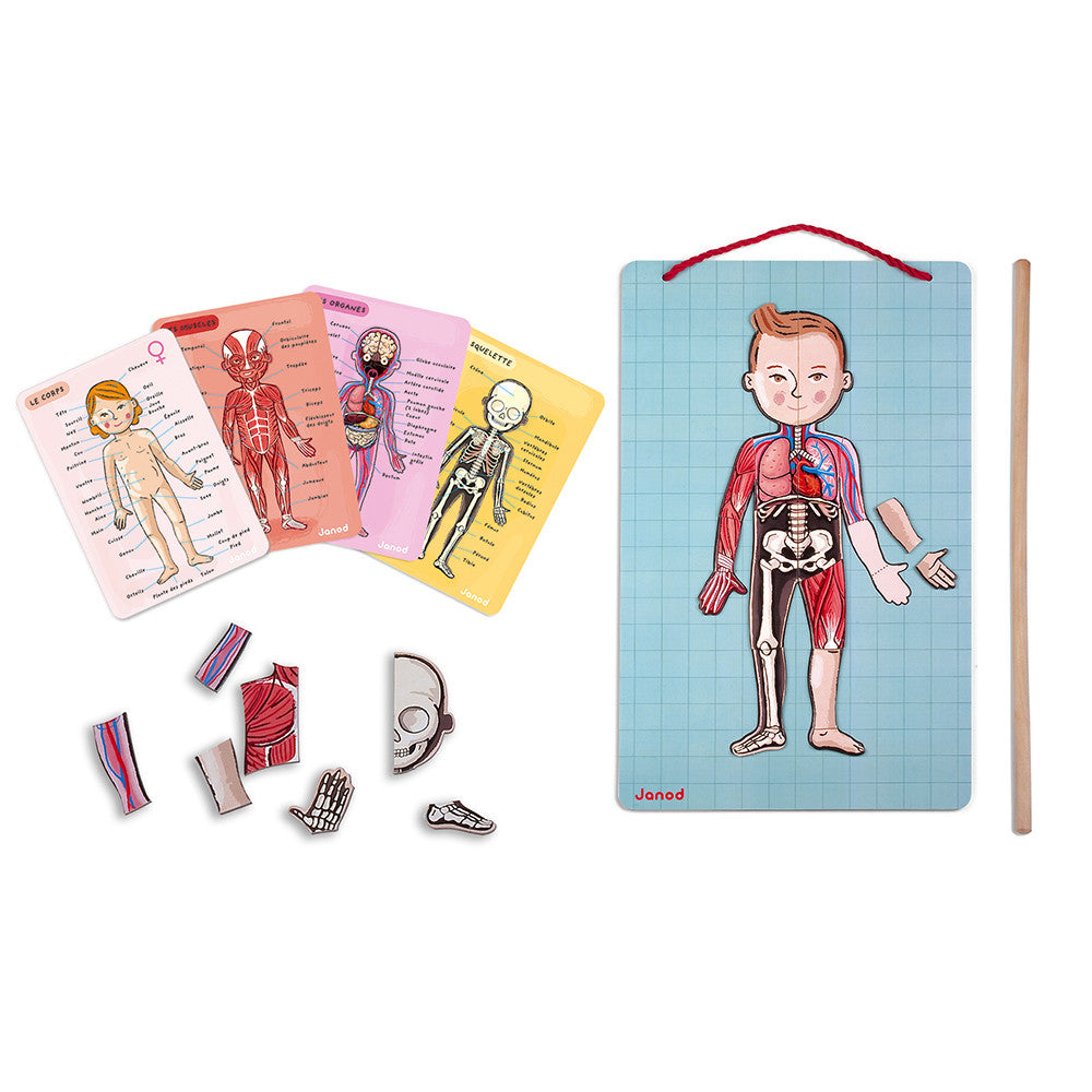 Corpo umano magnetico