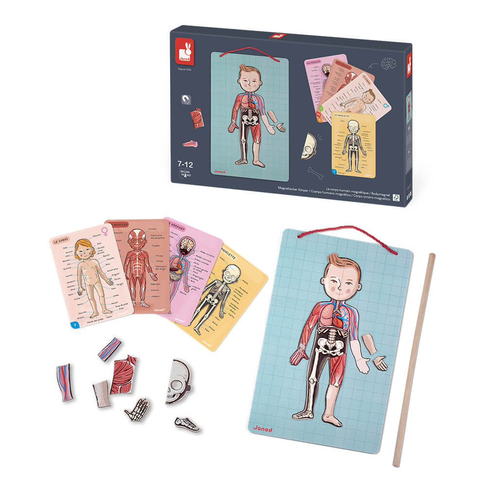 Corpo umano magnetico