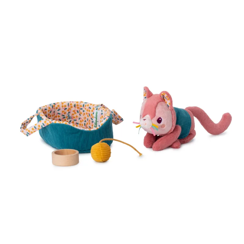 Il gatto Jeanne e il suo cestino