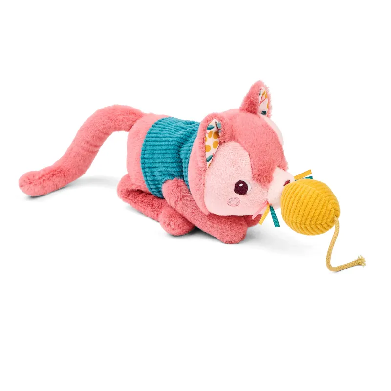 Il gatto Jeanne e il suo cestino