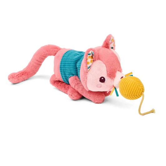 Il gatto Jeanne e il suo cestino