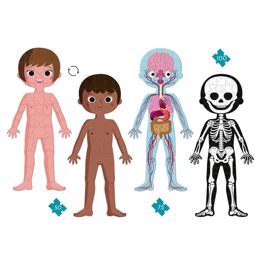Puzzle Educativo Corpo Umano