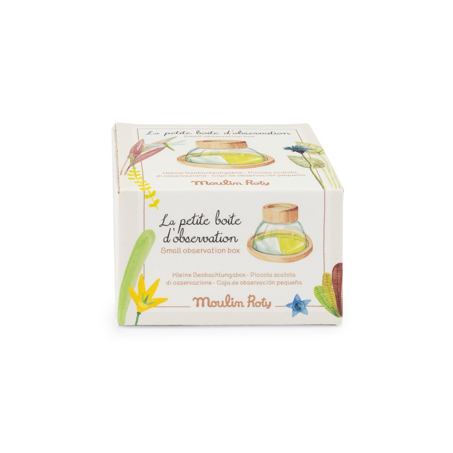 Piccola cabina di osservazione insetti e foglie