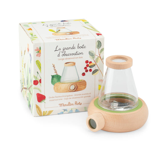 Grande scatola di osservazione insetti e foglie